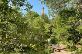 Shrubs and trees, green with summer growth, cover a small walking area that is the Ford Area C dumpsite. High above, the smokestack from the old Ford plant peeks through a break in the canopy.