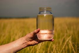 A hand holds a mason jar filled to the top with clear, clean water. A field of Kernza perennial grain is in the background.