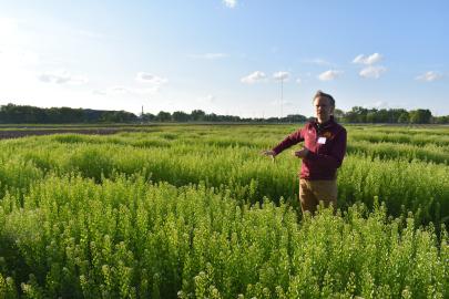 Forever Green's Mitch Hunter gestures in a pennycress field