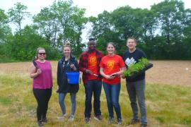 Planting volunteers at Cherokee Park