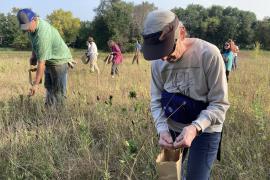 Volunteers collect native prairie seed at Vermillion River Linear Park