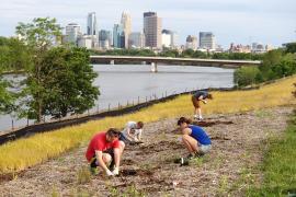 Ole Olson Park volunteers planting showy prairie species