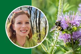 Angie Hong portrait plus a bee on bee balm