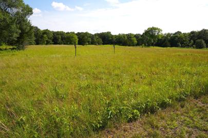 Prairie at Camp Cozy