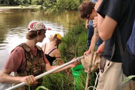 Gathering invertebrates, indicators of water quality