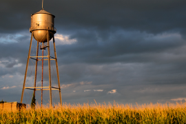 row crops and water tower
