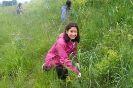 One of the program participants removes invasive species on a rainy day at Trout Brook Nature Sanctuary