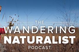 Wandering Naturalist