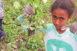 Young volunteer with pulled garlic mustard