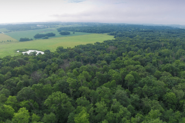 Hampton Woods aerial view