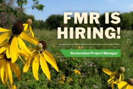 Coneflowers + text: FMR is hiring! Restoration project manager