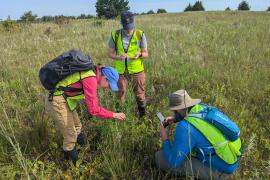 Intern surveys with ecologists