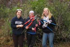 Three volunteers with loppers ready to tackle buckthorn