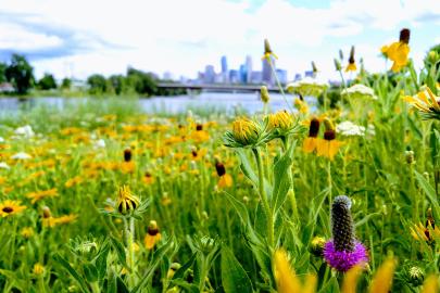 Minneapolis prairie, skyline, river