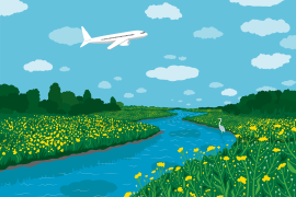 Airplane flies over blue river surrounded by yellow flowers