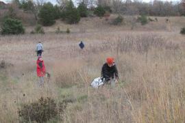 Volunteers collecting native seed at the Sand Coulee SNA