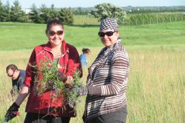 Volunteers tending the rare prairie at the Sand Coulee SNA