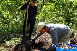 Volunteers planting native shrubs