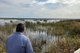 People look out over wetland