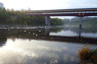 Foam puffs on the river