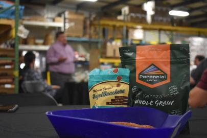 Two packets of food snacks made with clean-water crops sit on a table in the foreground. In the blurred background, you can make out warehouse shelves and individuals talking.
