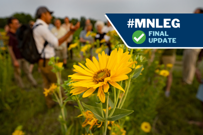 A bright, golden-yellow flower in the foreground, with the shapes of people evident in the background. They are standing in a field.