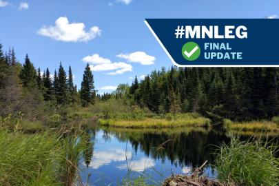 Minnesota lake surrounded by trees
