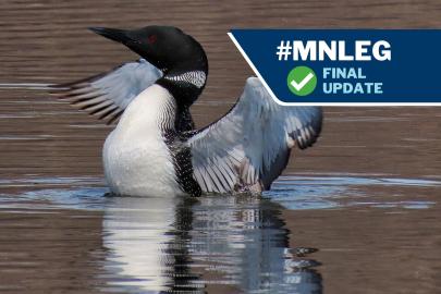 Loon plus text: "#MNLEG Final Update"