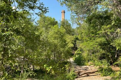 Shrubs and trees, green with summer growth, cover a small walking area that is the Ford Area C dumpsite. High above, the smokestack from the old Ford plant peeks through a break in the canopy.