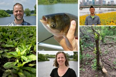FMR staff, camelina, carp, buckthorn