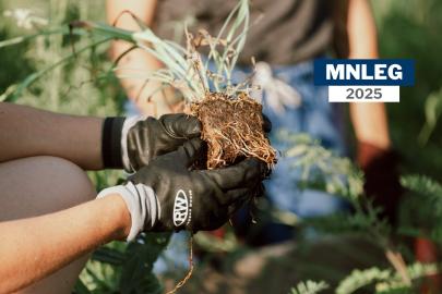 Gloved hands holding a small plant at a volunteer event. Text says "MNLEG 2025"