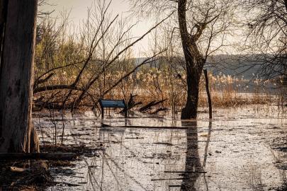A flooded path at Crosby Farm Regional Park.