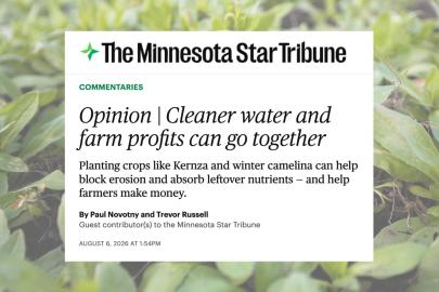 Winter camelina with a screengrab of the Star Tribune piece overlaid.