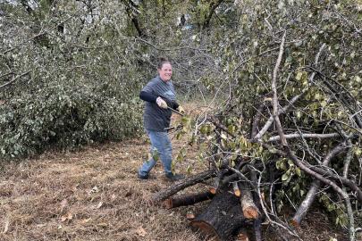 A volunteer tends a brush pile