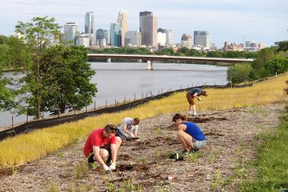 Ole Olson Park volunteers planting showy prairie species