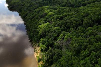 Aerial view near Pine Bend Bluff of river and forest