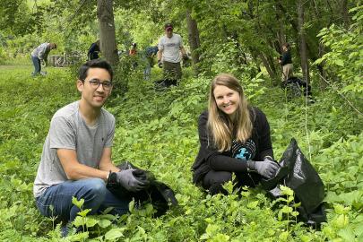 Volunteers pull garlic mustard at Crosby Farm Regional Park