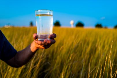 Person holding drinking water in Kernza field