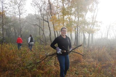 Volunteer at Pine Bend hauling buckthorn