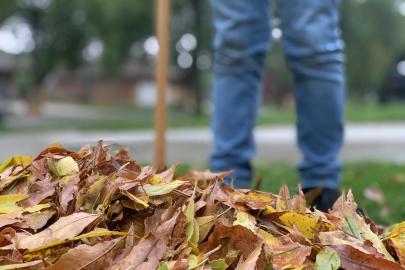 Fall leaf pile