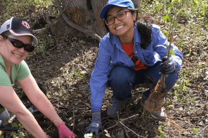 Field ecology intern