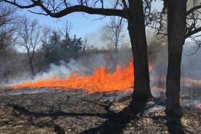 An April prescribed burn rolls through a blufftop prairie at the Flint Hills Pind Bend Bluffs property.