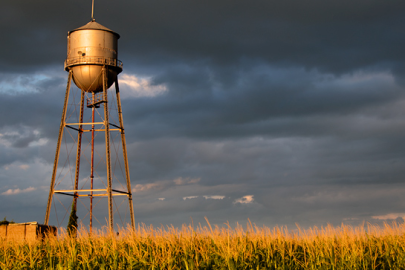 row crops and water tower