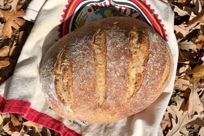 A loaf of bread made using Kernza flour.