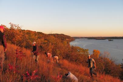 Volunteers on the prairie bluff at River Oaks Park