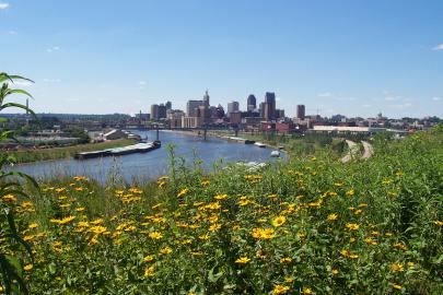 Native prairie installed by volunteers at Indian Mounds Park
