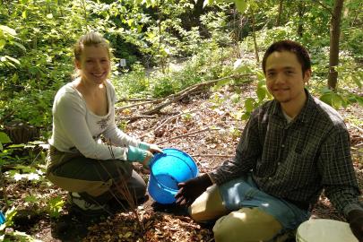 Volunteers planting native shrubs along the River Gorge