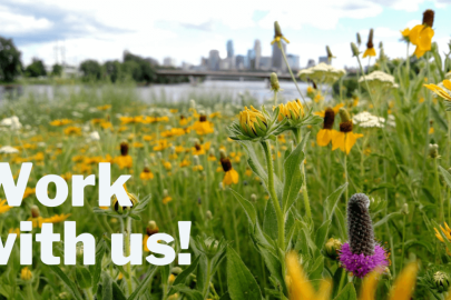Work with us!