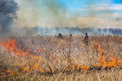 Prescribed fire in a prairie