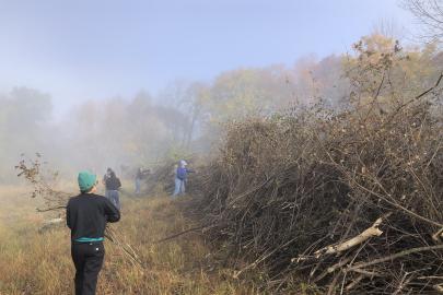 Flint Hills brush pile